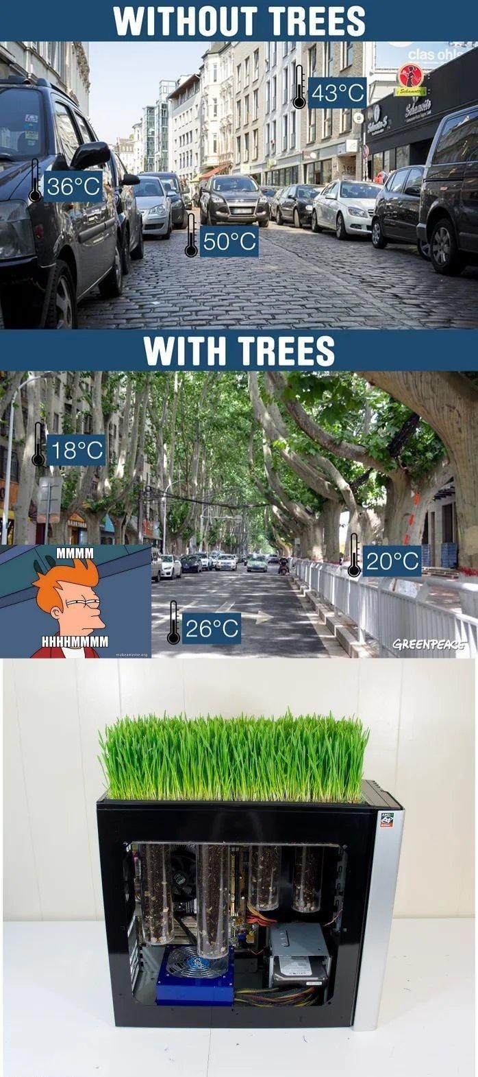WITHOUT THEES