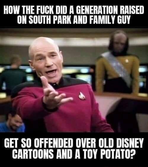 HOW THE FUCK DID R GENERATION RAISED ON SOUTH PARK AND FAMILY GUY GET SO OFFENDED OVER OLD DISNEY GARTOONS AND A TOY POTATO