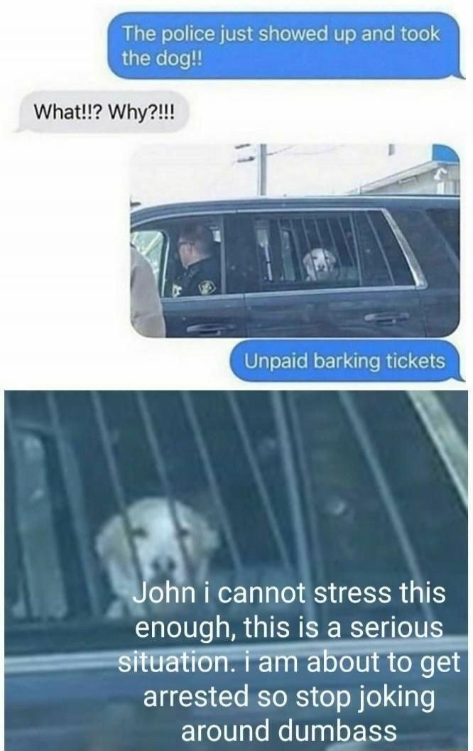 The police just showed up and took the dog!! What!!!? Why?!!! Unpaid barking tickets John i cannot stress this enough, this is a serious situation. i am about to get arrested so stop joking around dumbass