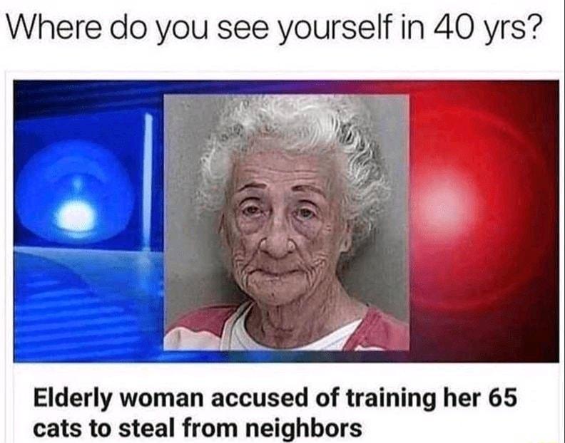 Where do you see yourself in 40 yrs Elderly woman accused of training her 65 cats to steal from neighbors