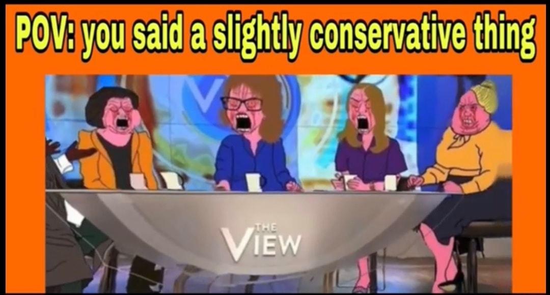 POViyoulsaidalslightlyconservativejthing 9 A ol 1 I