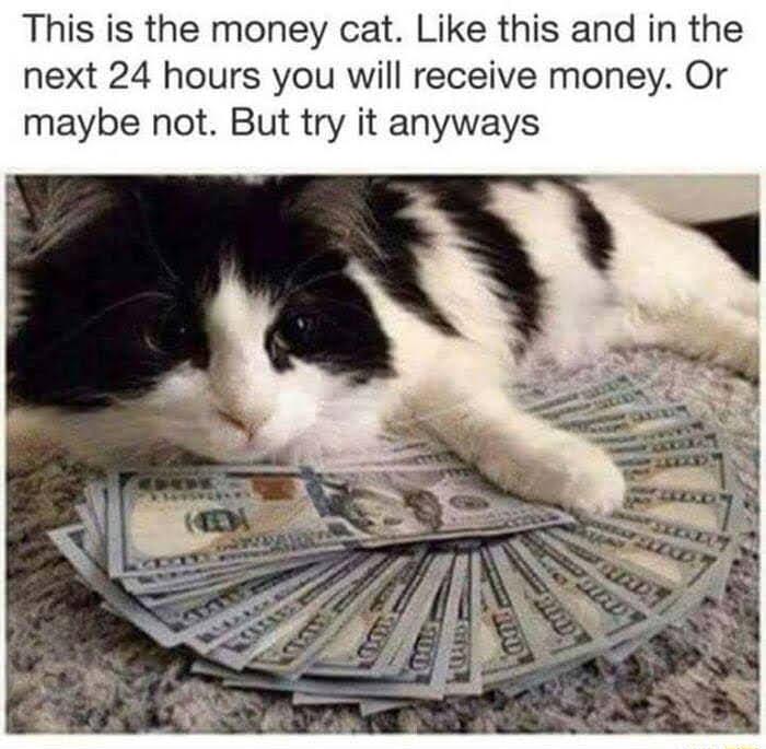 This is the money cat Like this and in the next 24 hours you will receive money Or maybe not But try it anyways