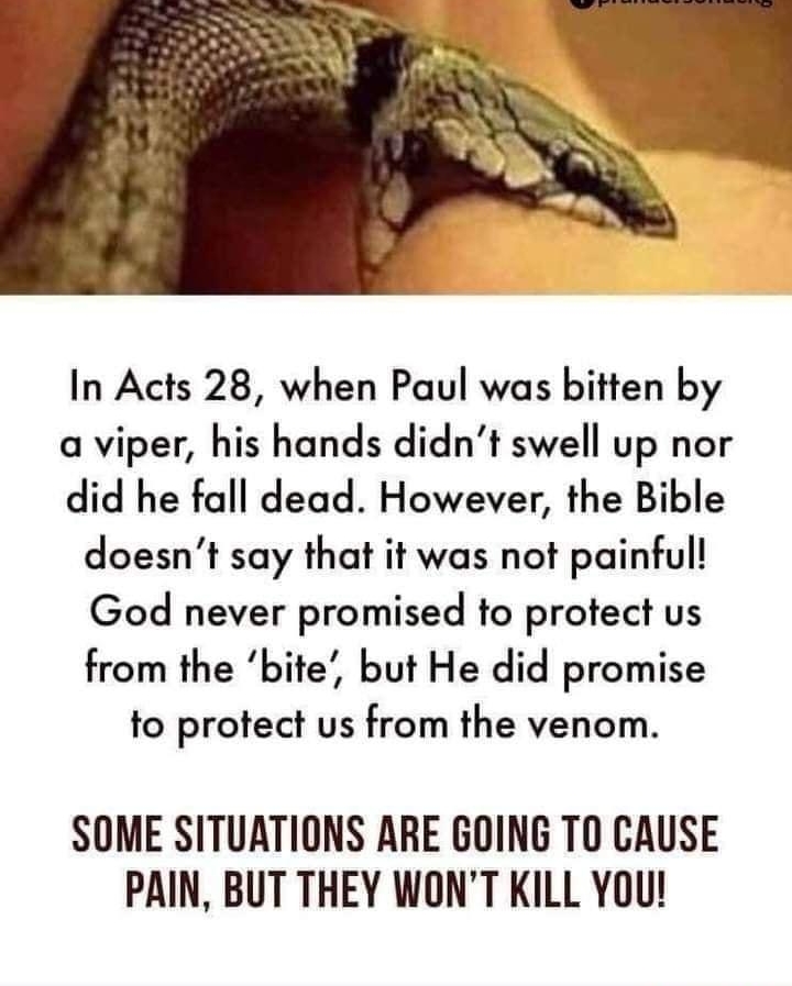 In Acts 28 when Paul was bitten by a viper his hands didnt swell up nor did he fall dead However the Bible doesnt say that it was not painful God never promised to protect us from the bite but He did promise to protect us from the venom SOME SITUATIONS ARE GOING T0 CAUSE PAIN BUT THEY WONT KILL YOU