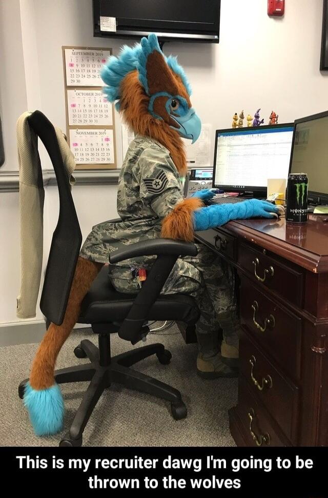 This is my recruiter dawg Im going to be thrown to the wolves