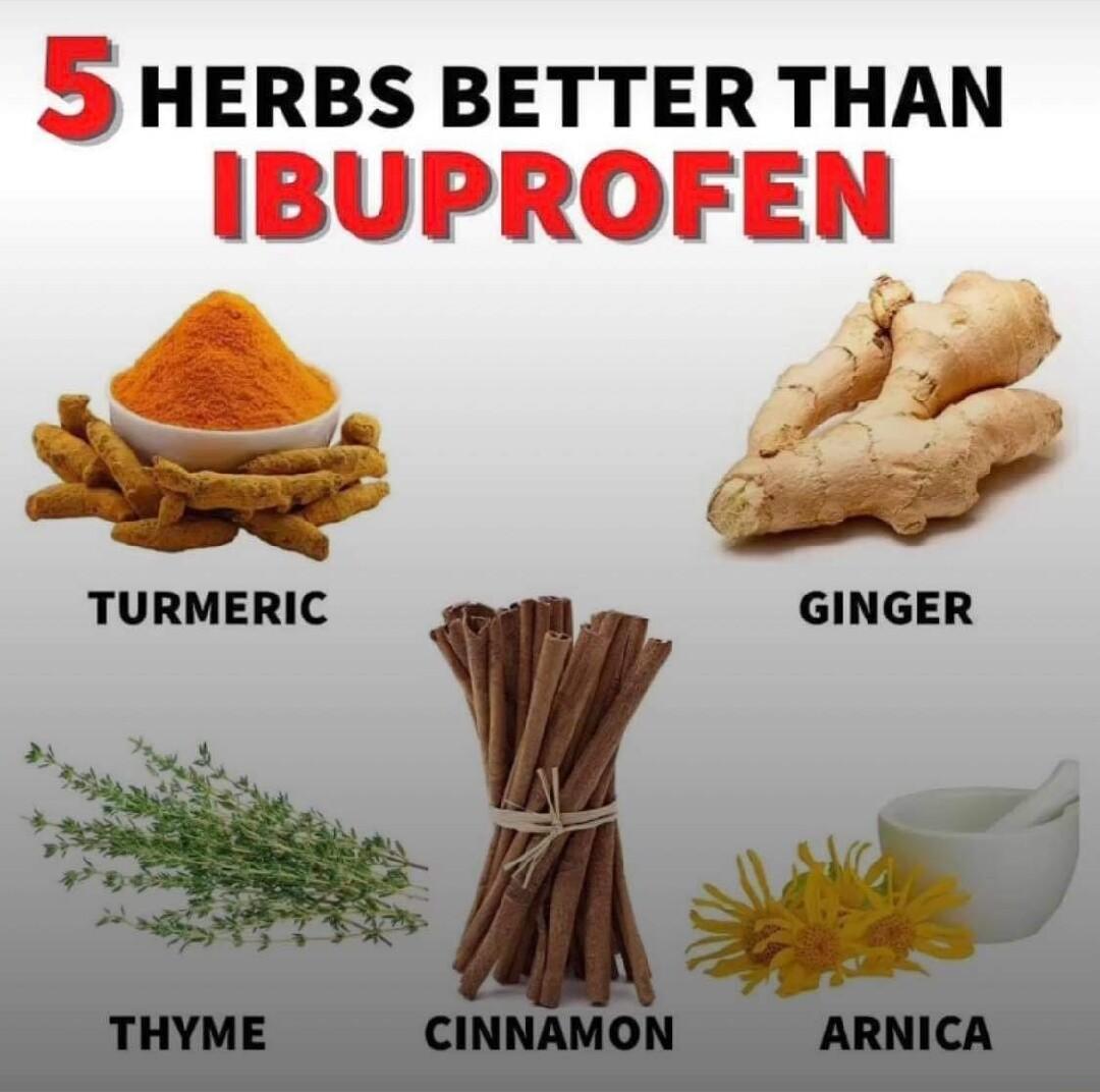 S HERBS BETTER THAN IBUPROFEN w P o TURMERIC