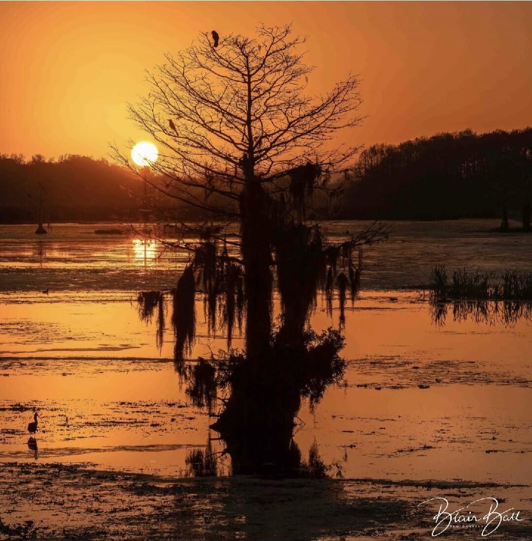 Blair Ball Photography