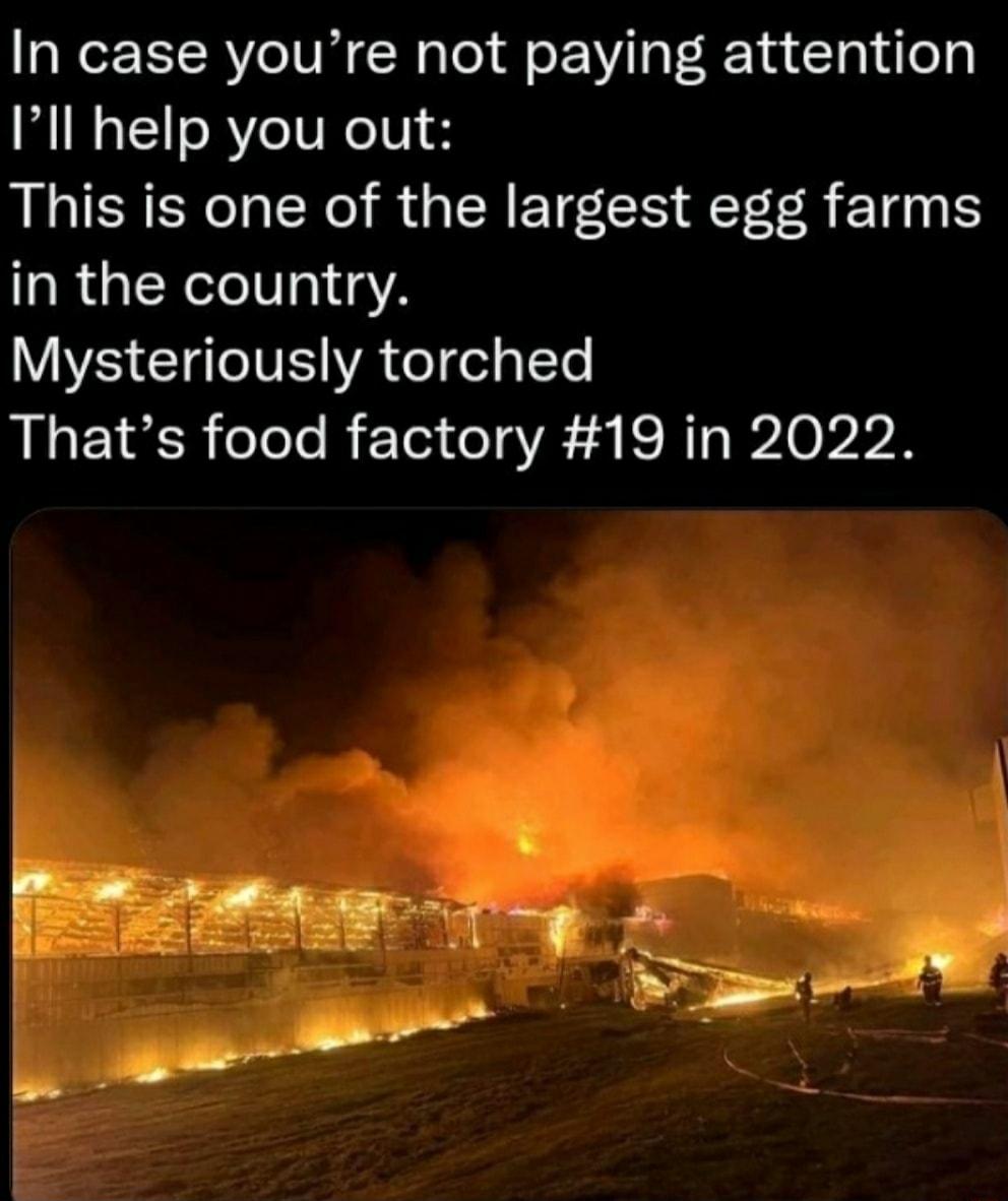 In case youre not paying attention Ill help you out This is one of the largest egg farms RGN 1sA VS CIIeIVE A el el a Te Thats food factory 19 in 2022 r hdn