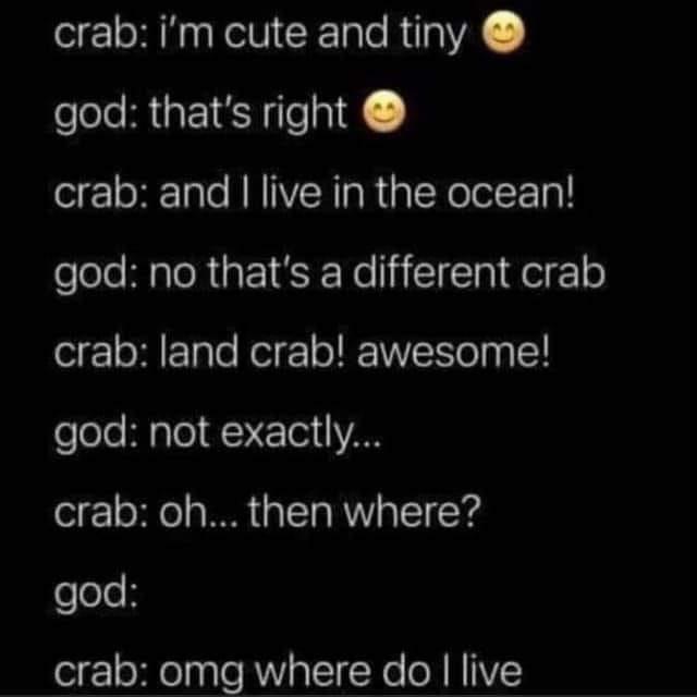 crab im cute and tiny god thats right crab and live in the ocean elole aloRaF18F No liIIn I QeiF crab land crab awesome e ole Higlo o3 1 VAN crab oh then where felolo crab omg where do live