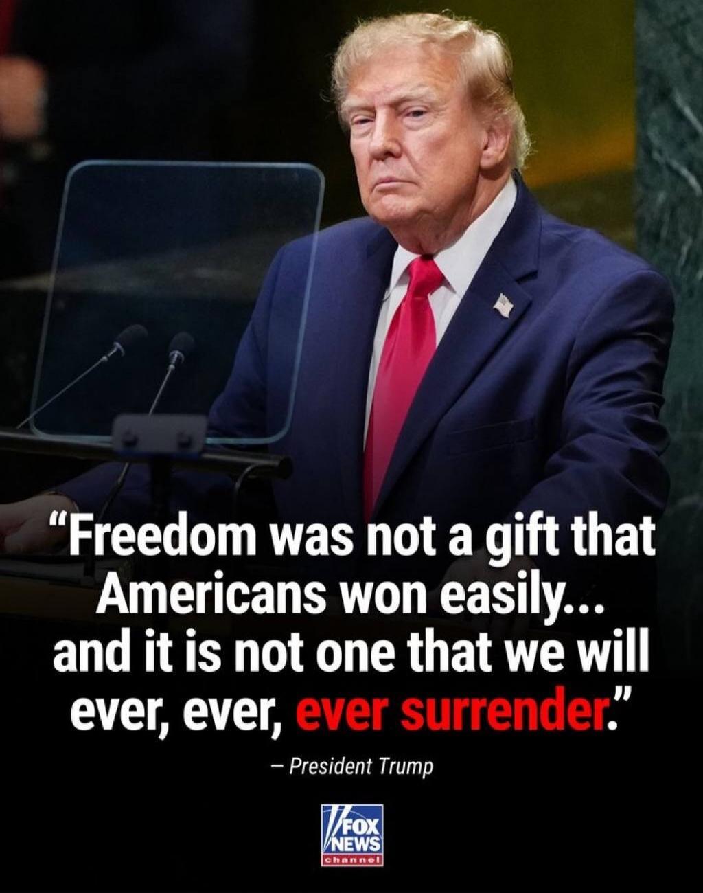 Freedom was not a gift that Americans won easily... and it is not one that we will ever, ever, ever surrender. - President Trump