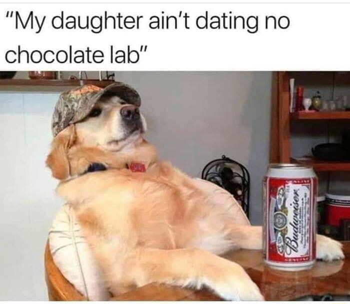 My daughter aint dating no chocolate lab