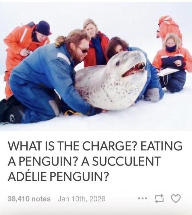 WHAT IS THE CHARGE? EATING A PENGUIN? A SUCCULENT ADÉLIE PENGUIN? A group of people in winter gear are gathered around a leopard seal on a snowy landscape. The seal has its mouth open, showing its teeth, while one person in a blue suit is close to it.