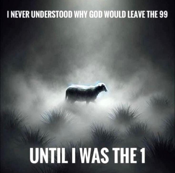 I NEVER UNDERSTOOD WHY GOD WOULD LEAVE THE 99 UNTIL I WAS THE 1
