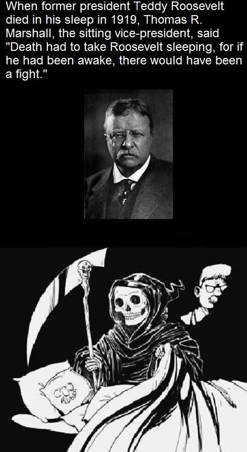 NAa 1 gl el gaa T g ol X1 To T g M I To o VA SoToESTAVET 1 died in his sleep in 1919 Thomas R WETCHENRGER 1 e RY IR o iTo g M TTo Death had to take Roosevelt sleeping for if he had been awake there would have been ERilesng