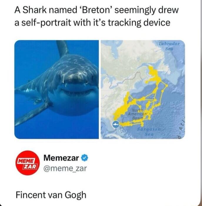 A Shark named Breton seemingly drew a self portrait with its tracking device Memezar meme_zar Fincent van Gogh