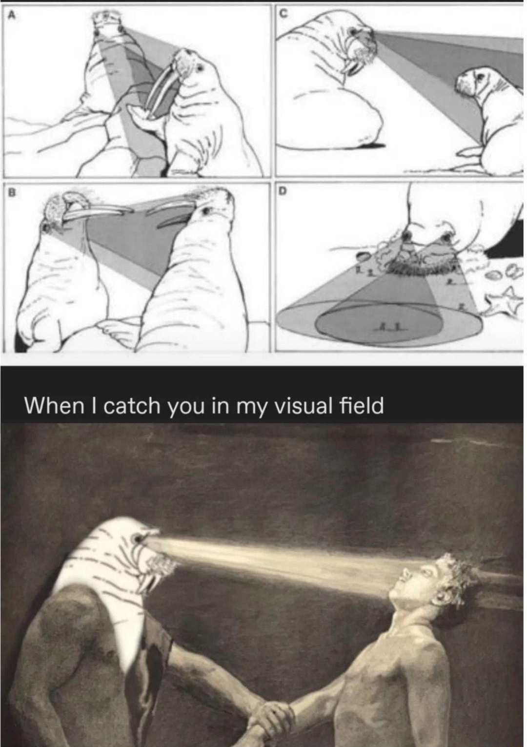 SELEIRGEE AL Gl piopa el When catch you in my visual field