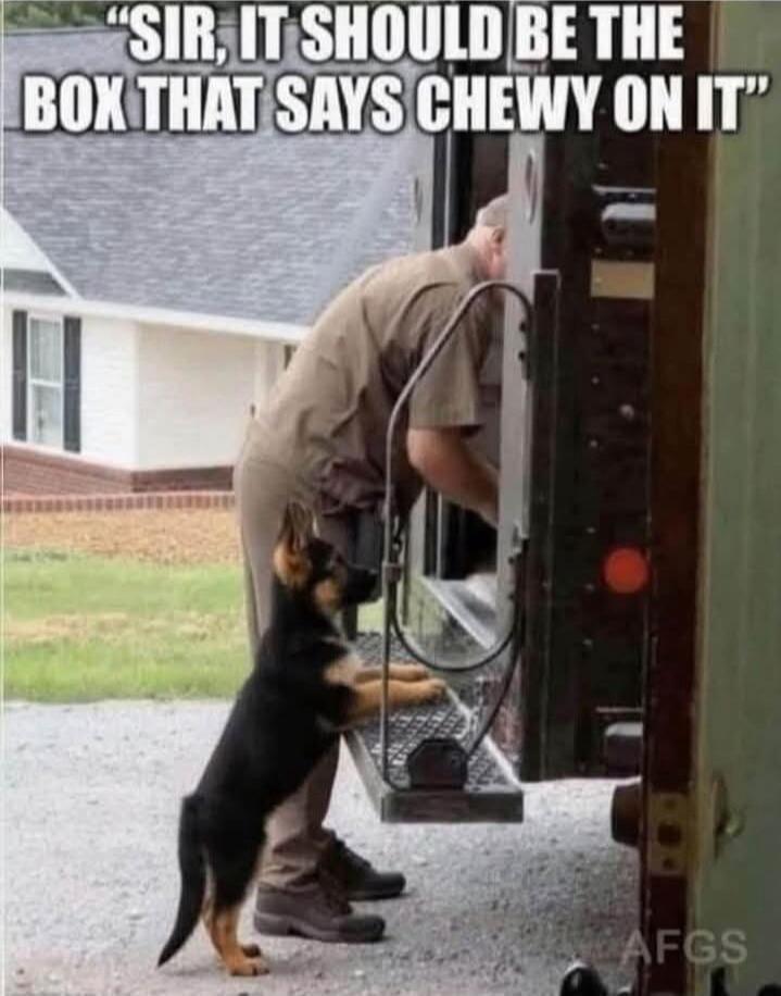 SIR, IT SHOULD BE THE BOX THAT SAYS CHEWY ON IT