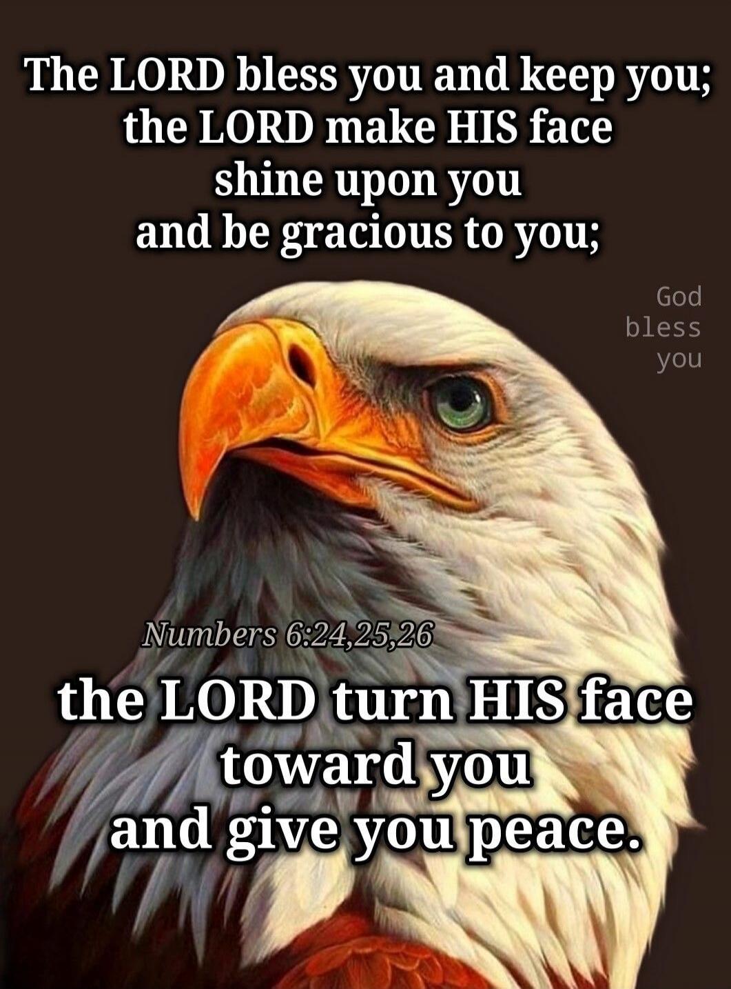 The LORD bless you and keep you; the LORD make HIS face shine upon you and be gracious to you; Numbers 6:24,25,26 the LORD turn HIS face toward you and give you peace. God bless you