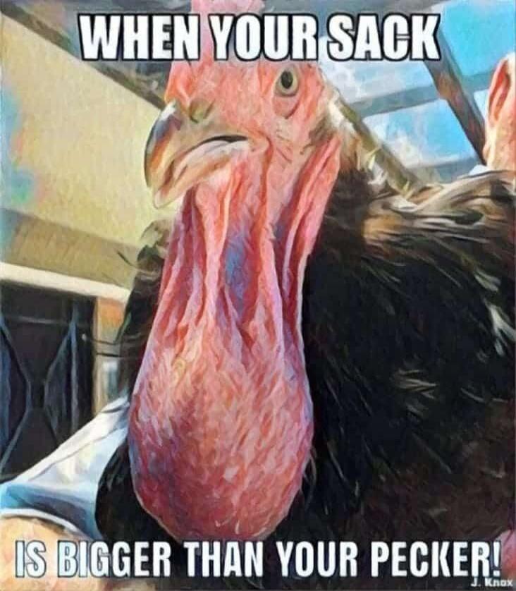 WHEN YOUR SACK IS BIGGER THAN YOUR PECKER!