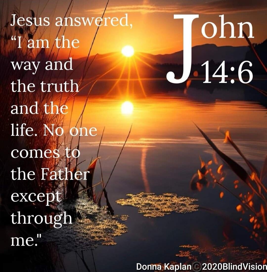 Jesus answered, 'I am the way and the truth and the life. No one comes to the Father except through me.' John 14:6
Donna Kaplan © 2020BlindVision