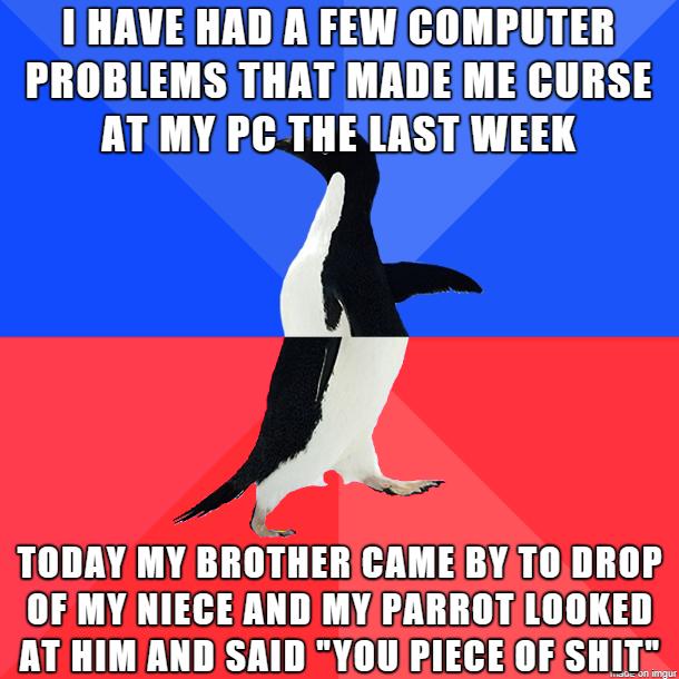 I HAVE HAD A FEW COMPUTER PROBLEMS THAT MADEMECURSE ATIMY PCTHELASTWEEK TODAY MY BROTHERCAME BYT0DROP OF MY NIECE AND MYPARROTLOOKED AT HIMAND SAID YOU PIECEOF SHIT