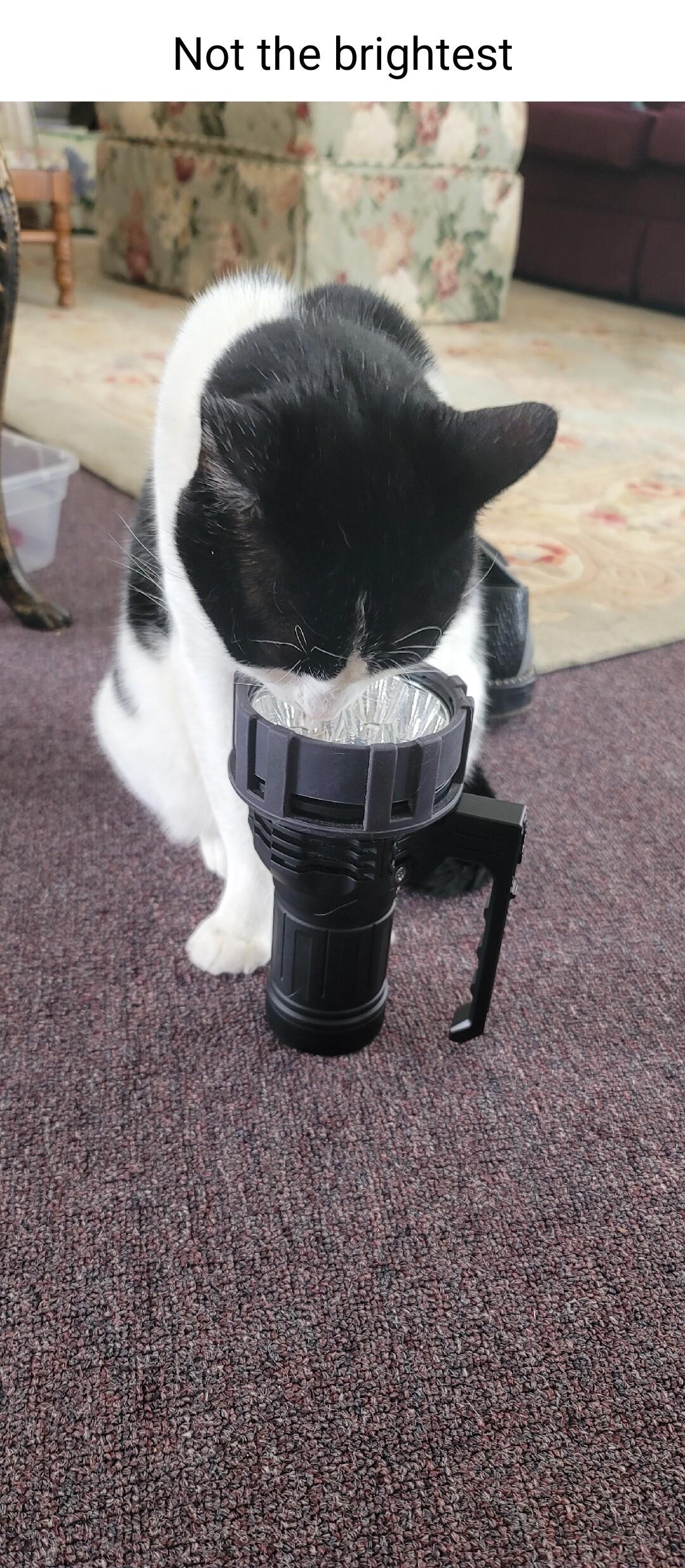 Not the brightest Wi