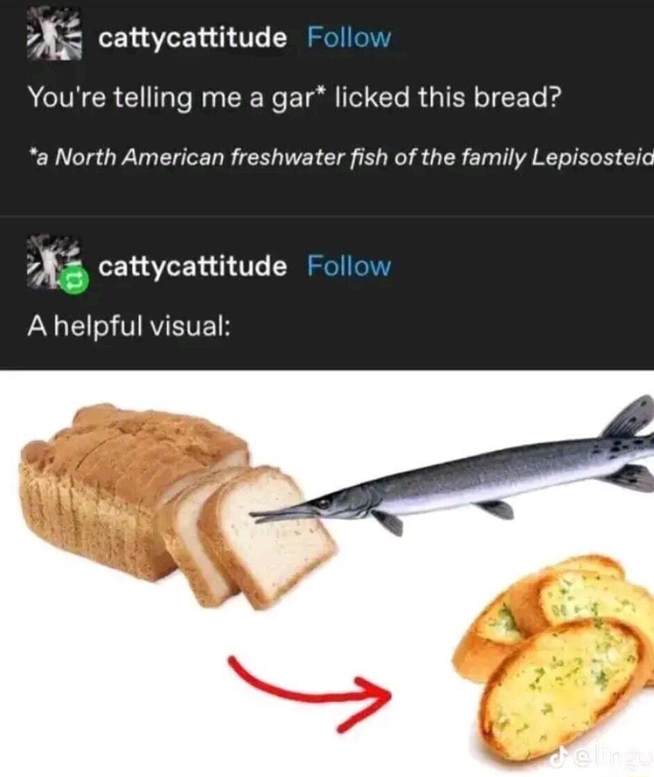 cattycattitude Follow ACTNCR T N CRERe Ll T ETe R GIEY IR T kg a North American freshwater fish of the family Lepisosteic cattycattitude Follow PGl VIRVEVE