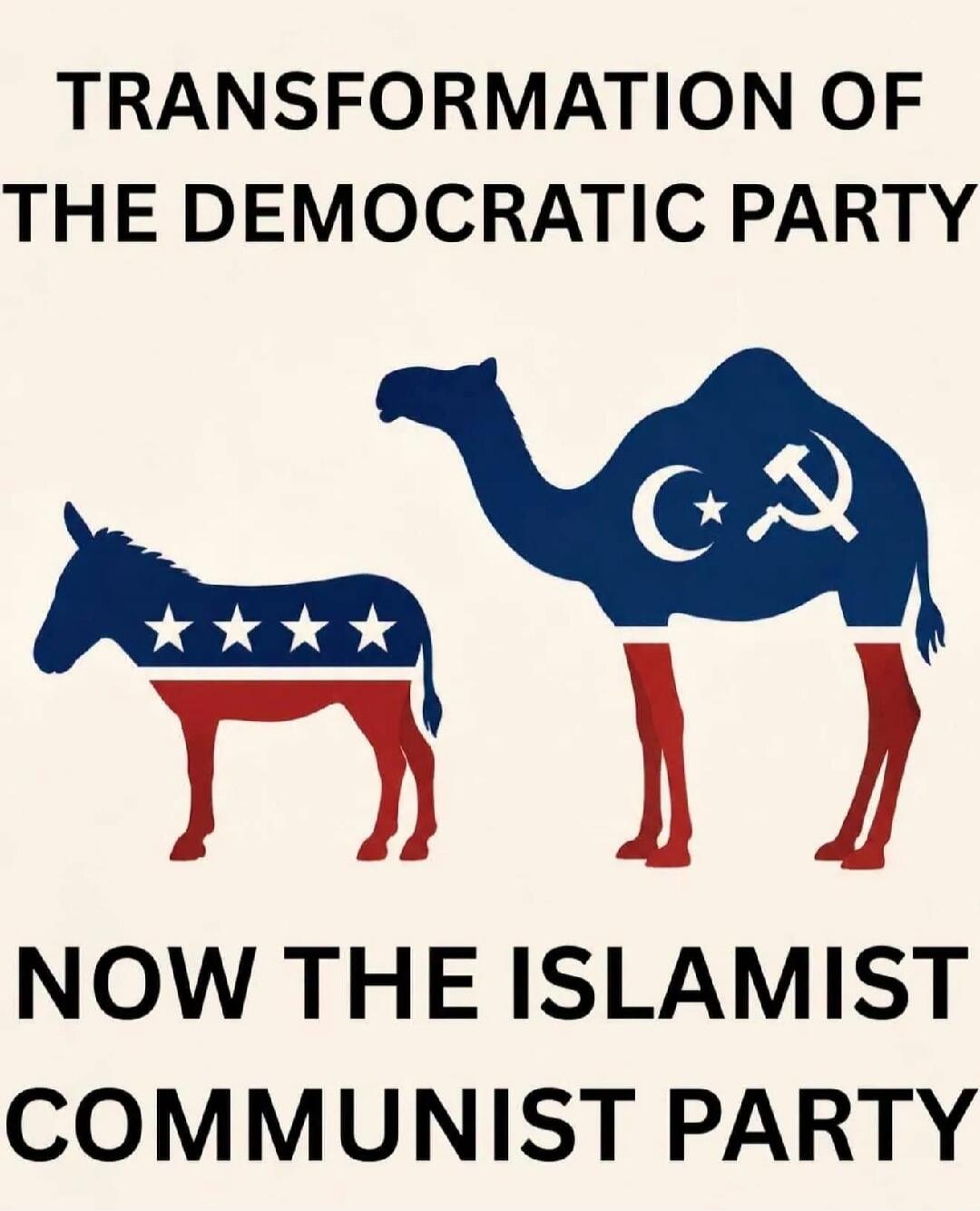 TRANSFORMATION OF THE DEMOCRATIC PARTY NOW THE ISLAMIST COMMUNIST PARTY