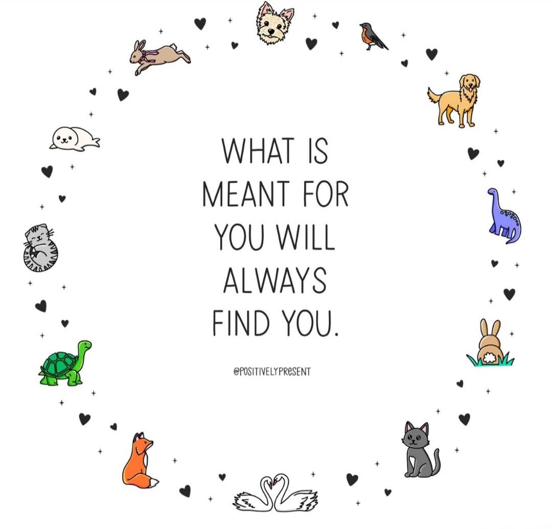 WHAT IS MEANT FOR YOU WILL ALWAYS FIND YOU.