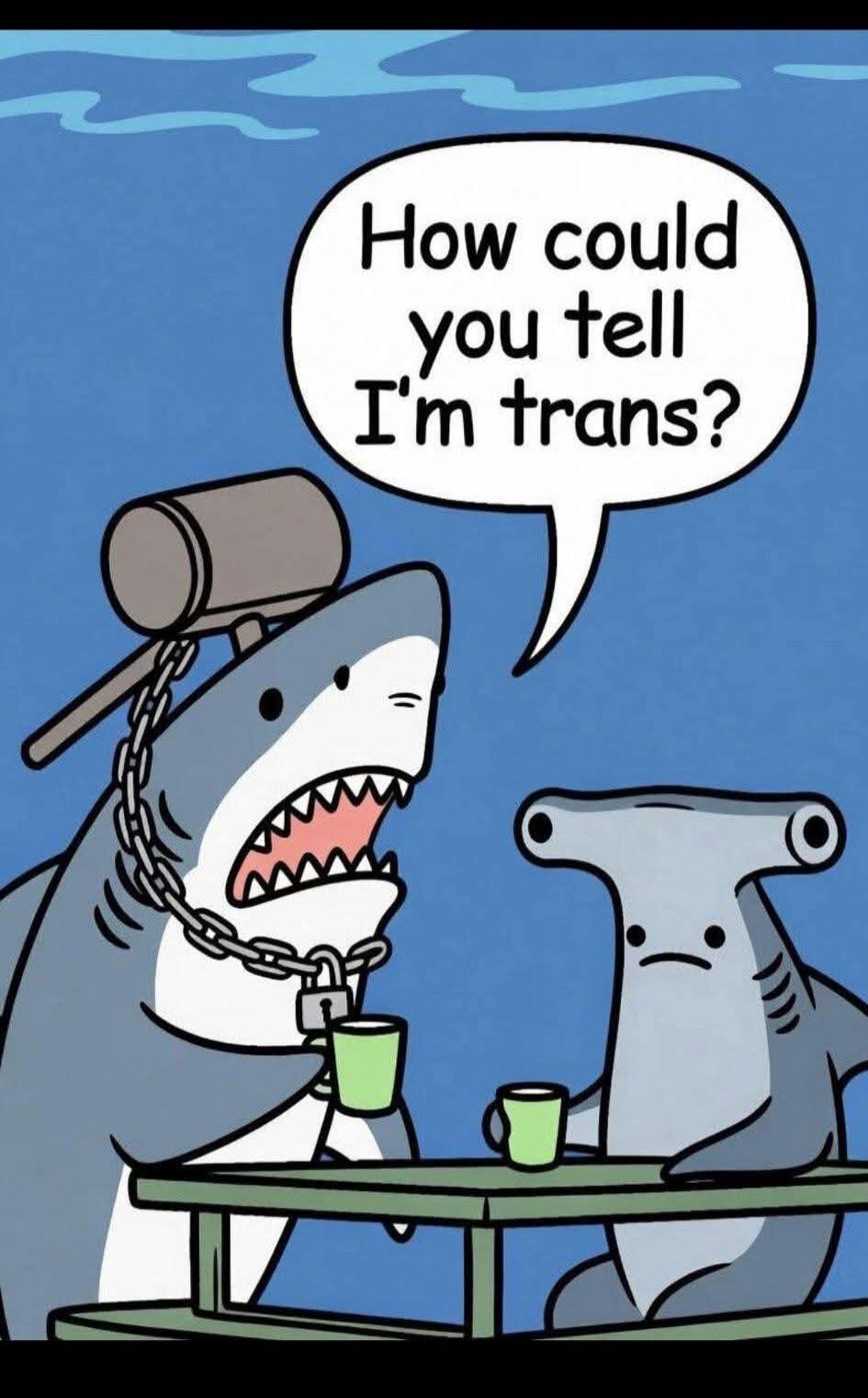How could you tell I'm trans?