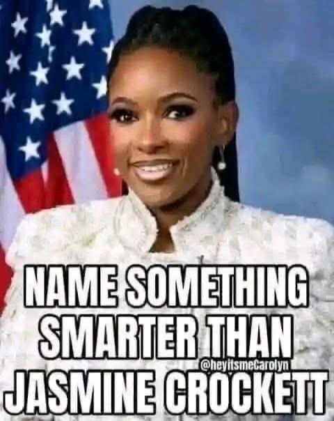 NAME SOMETHING SMARTER THAN JASMINE CROCKETT