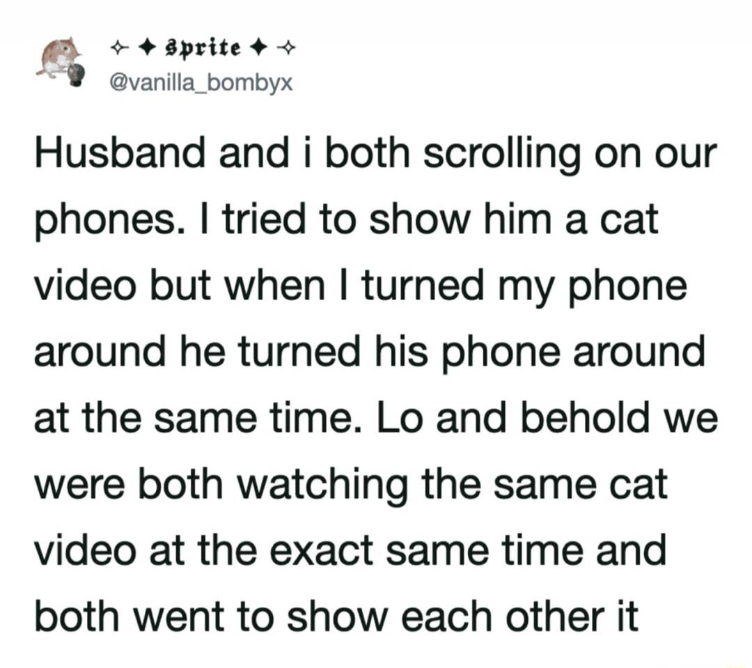Husband and I both scrolling on our phones. I tried to show him a cat video but when I turned my phone around he turned his phone around at the same time. Lo and behold we were both watching the same cat video at the exact same time and both went to show each other it