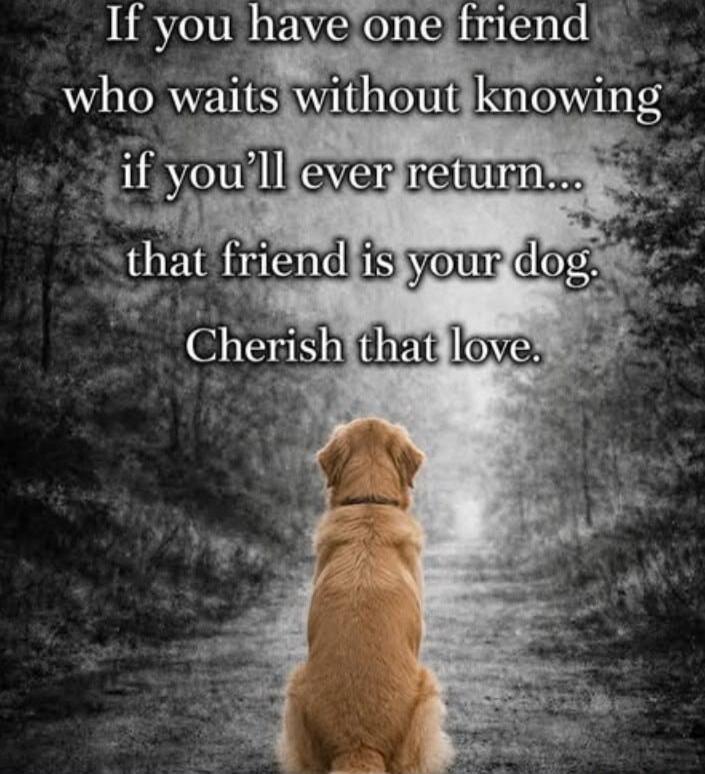 If you have one friend who waits without knowing if you'll ever return... that friend is your dog. Cherish that love.