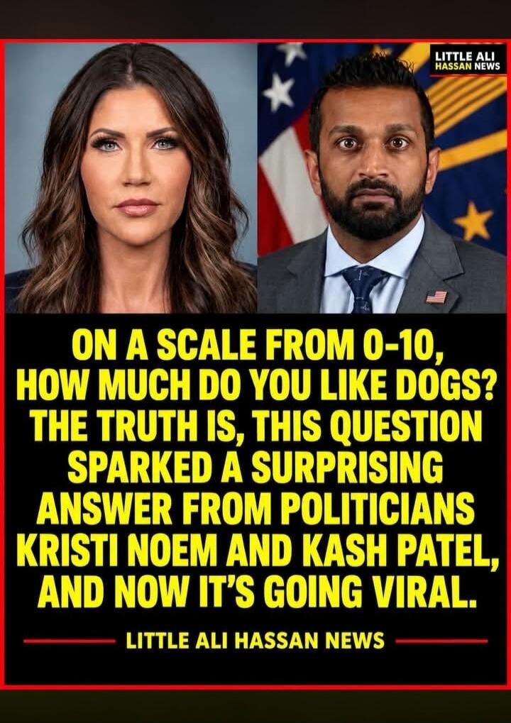 ON A SCALE FROM 0-10, HOW MUCH DO YOU LIKE DOGS? THE TRUTH IS, THIS QUESTION SPARKED A SURPRISING ANSWER FROM POLITICIANS KRISTI NOEM AND KASH PATEL, AND NOW IT'S GOING VIRAL. LITTLE ALI HASSAN NEWS