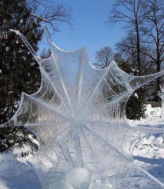 A large ice formation resembling a spiderweb in a snowy park.
