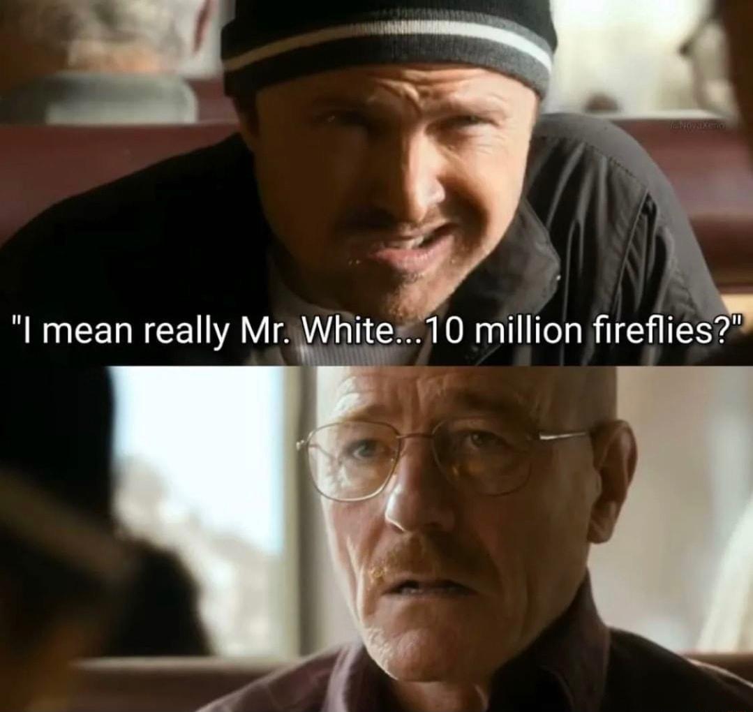 I mean really Mr White10 million fireflies LR 4