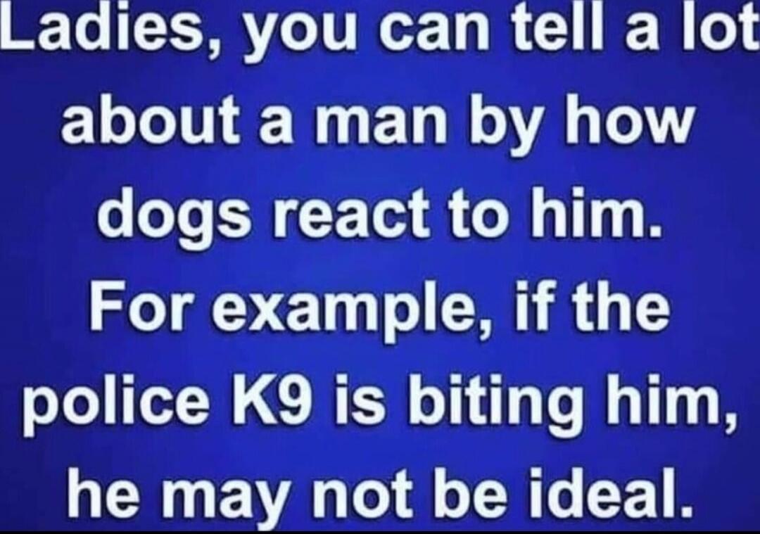 Ladies, you can tell a lot about a man by how dogs react to him. For example, if the police K9 is biting him, he may not be ideal.
