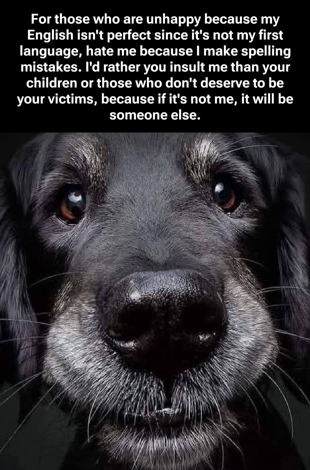 For those who are unhappy because my English isn't perfect since it's not my first language, hate me because I make spelling mistakes. I'd rather you insult me than your children or those who don't deserve to be your victims, because if it's not me, it will be someone else.