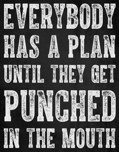 EVERYBODY HAS A PLAN UNTIL THEY GET PUNCHED IN THE MOUTH