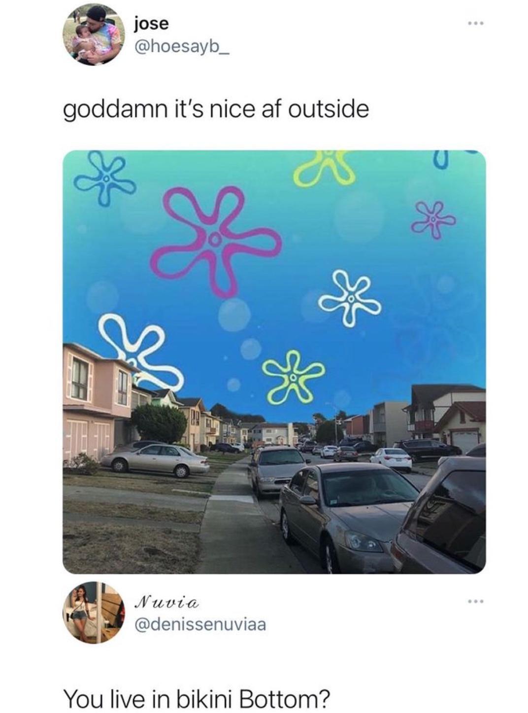 Nuvia denissenuviaa You live in bikini Bottom