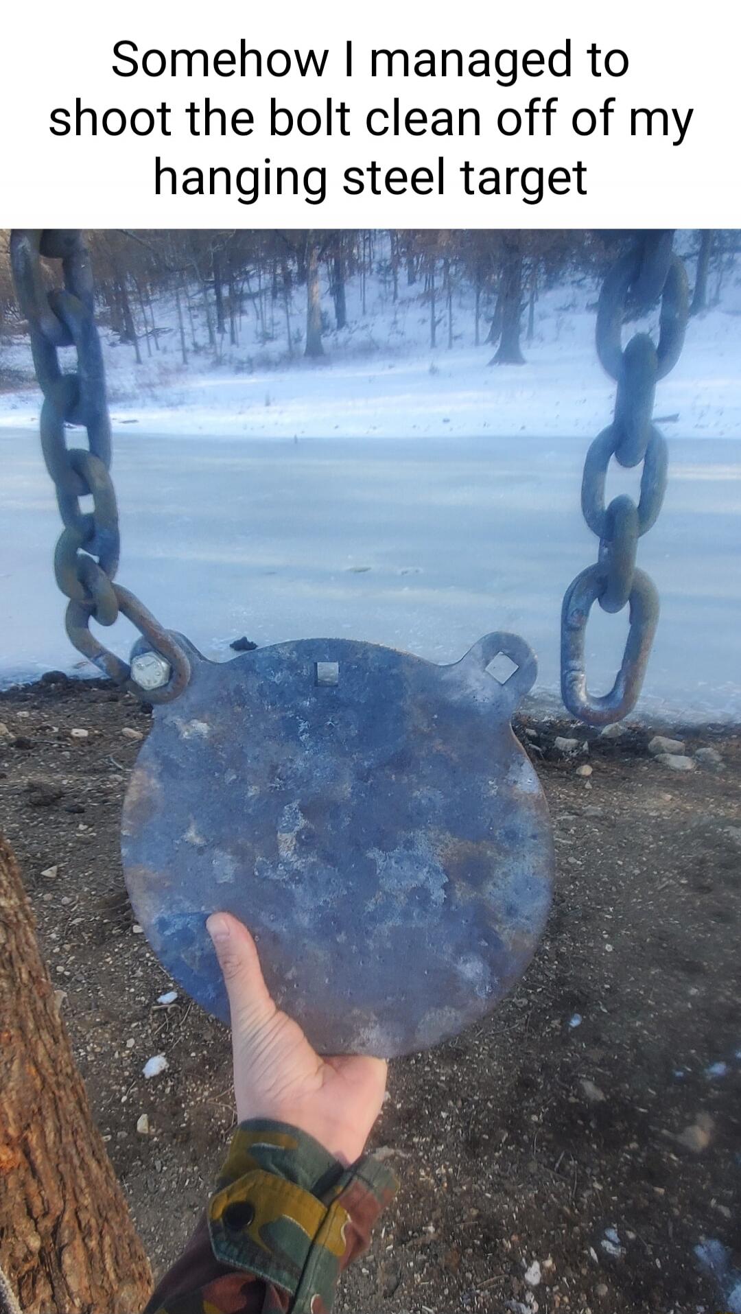 Somehow I managed to shoot the bolt clean off of my hanging steel target