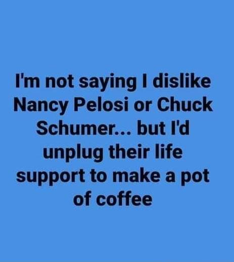 Im not saying I dislike Nancy Pelosi or Chuck Schumer but Id unplug their life support to make a pot of coffee