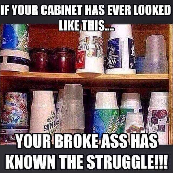 IF YOUR CABINET HAS EVER LOOKED KNIIWN THE STRUGGLE