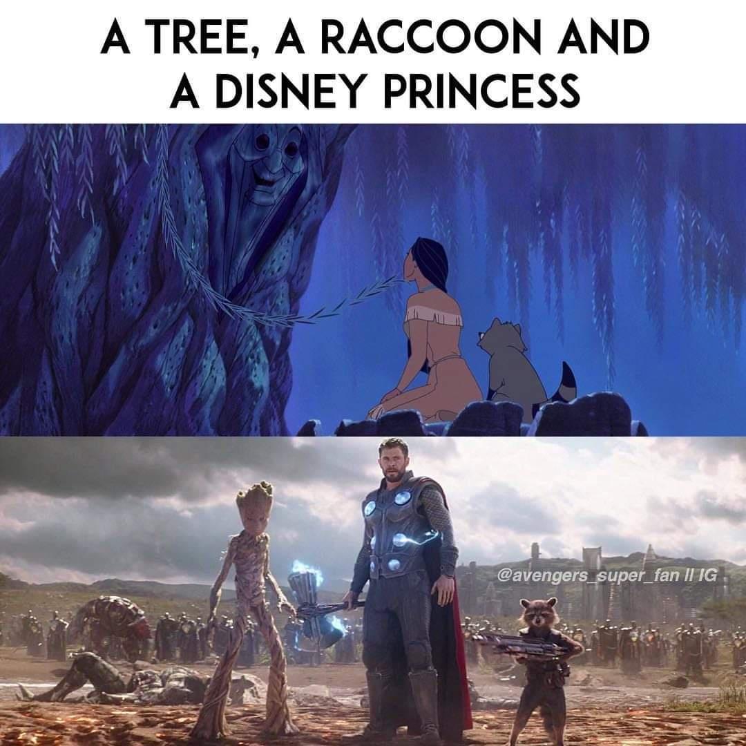 A TREE A RACCOON AND A DISNEY PRINCESS o fan G i 1 CEVC T TR S