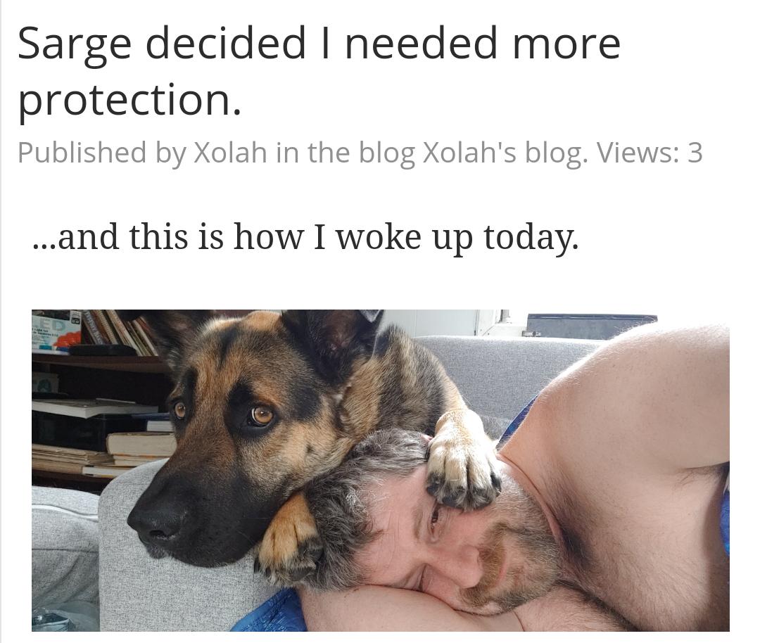 Sarge decided needed more protection Published by Xolah in the blog Xolahs blog Views 3 and this is how I woke up today