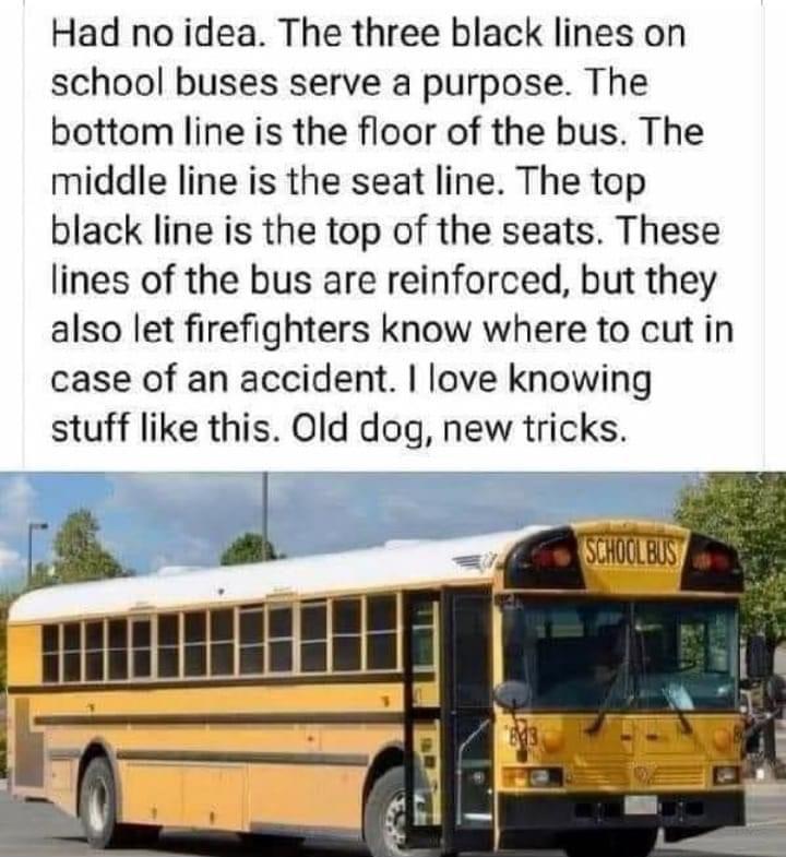 Had no idea The three black lines on school buses serve a purpose The bottom line is the floor of the bus The middle line is the seat line The top black line is the top of the seats These lines of the bus are reinforced but they also let firefighters know where to cut in case of an accident love knowing stuff like this Old dog new tricks