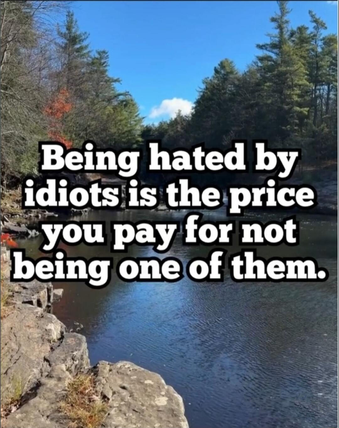 Being hated by idiots is the price you pay for not being one of them.