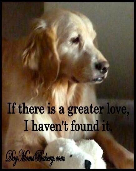 If there is a greater love, I haven't found it. DogMomsBakery.com
