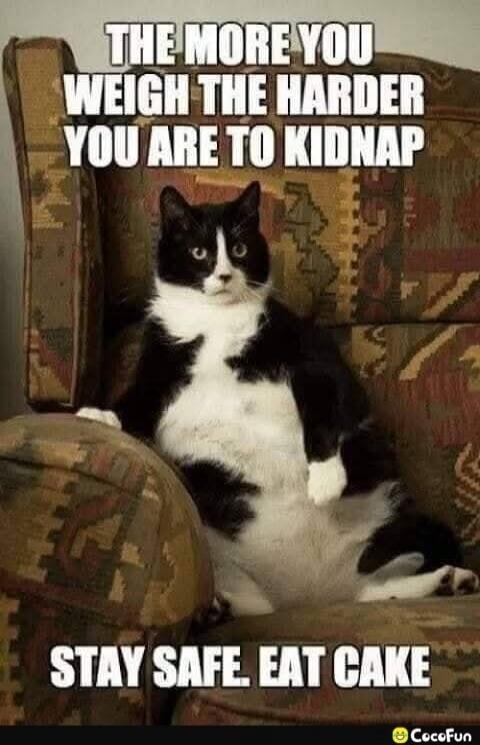 THE MORE YOU WEIGH THE HARDER YOU ARE TO KIDNAP
STAY SAFE EAT CAKE