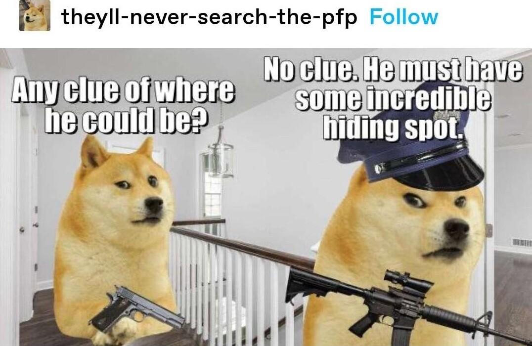 Y theyll never search the pfp Follow
