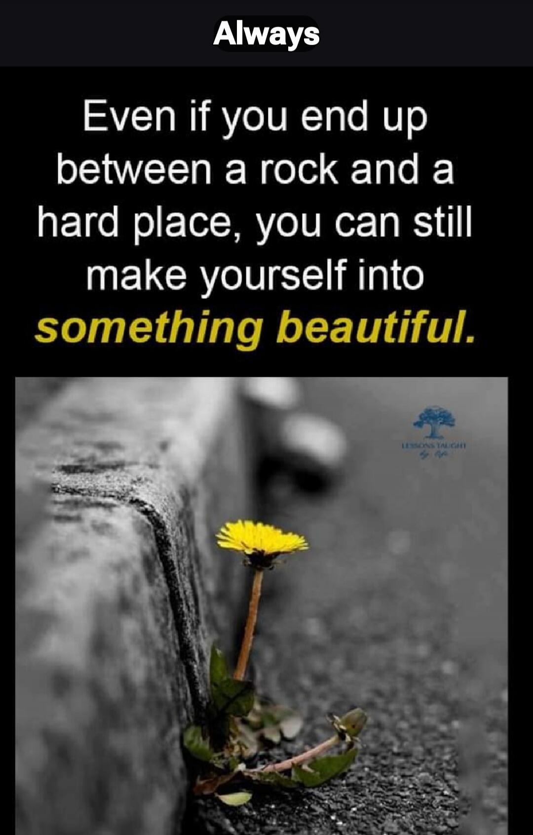 Always. Even if you end up between a rock and a hard place, you can still make yourself into something beautiful. LESSONS TAUGHT